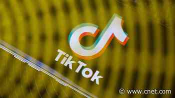 TikTok Could Be Banned Next Year: 5 Alternatives to Fill the Void     - CNET
