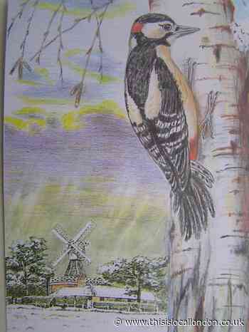 Nature Notes: The demise of the dawn chorus
