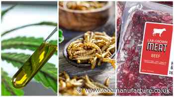 UK red tape has ‘killed our innovation’