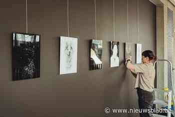 Meerhouts Amateur Kunstenfestival presenteert 60 kunstenaars op 12 locaties