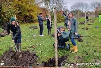 Gemeente opent sterrenregister voor ouders die kindje verliezen na minder dan 140 dagen zwangerschap