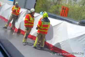 Vijftiger overleden bij zwaar ongeval op E34: snelweg richting Antwerpen pas na drie uur opnieuw open