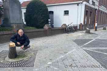 Stennis om gekapte bomen op Markt: “Niet nagedacht over nieuwe locatie”