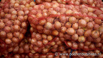 Opleving in uienexport slechts van korte duur