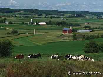 Dairy Cows Moved Across State Lines Must Now Be Tested for Bird Flu