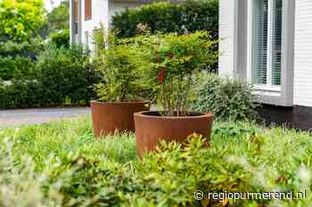 De veelzijdigheid van cortenstaal plantenbakken