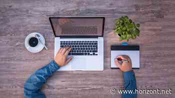 Remote Work und Co: Was Freelancer heute wirklich wollen