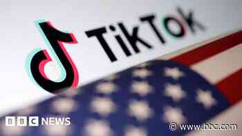 TikTok vows to fight 'unconstitutional' US ban