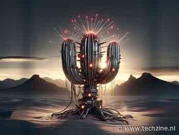 Nederlandse securitybedrijven vinden slachtoffers Cactus-criminelen