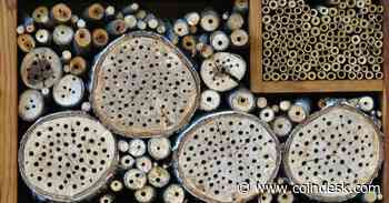 Crypto for Advisors: The Professionalization of Crypto