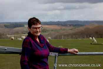 Former County Durham farmer saves lamb's life after spotting sheep in distress as she drove past field