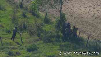 Hillsborough County double murder suspect in custody