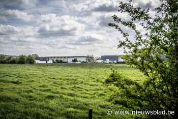 Halen plant uitbreiding Stadsbeemd en één locatie voor alle voetbalclubs