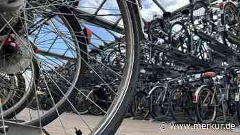 Jetzt wird’s eklig: Ratten am Freisinger Bahnhof - den Stadträten reicht‘s jetzt