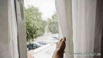 Wie oft sollte man die Gardinen daheim waschen?