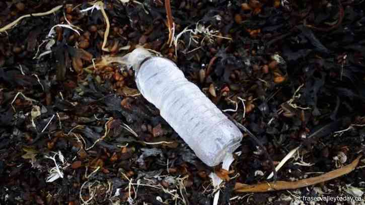 Billions of bottles: Canadian statistics paint grim picture of plastic litter problem