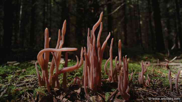 5 Must-See Shows at Gallery Weekend Berlin 2024