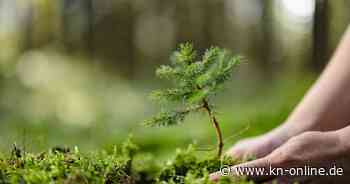 Naturschutz reicht nicht: Diese fünf Maßnahmen sind besonders effektiv