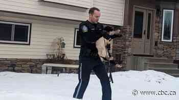 Makeshift slaughterhouse in a residential garage points to growing concerns about illicit meat sales