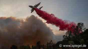 Wein und Klimawandel: Wetterextreme sorgen für schlechteste Weinernte seit 62 Jahren