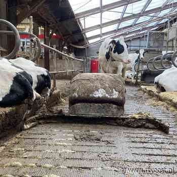 Krimp veestapel en geen ruimte voor meer dierlijke mest; meerderheid voor mestplan Adema