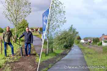 Openbare verlichting langs fietspad tussen Sint-Amands en Puurs