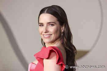 Sophia Bush comes out as queer, confirms relationship with Ashlyn Harris