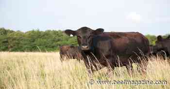 Farm Progress America, April 26, 2024