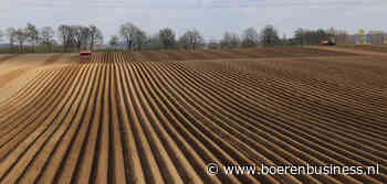 Areaalgroei: Europese aardappelteler optimistisch