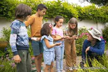 Halle schakelt tuinrangers in om tuinen klimaatrobuuster te maken