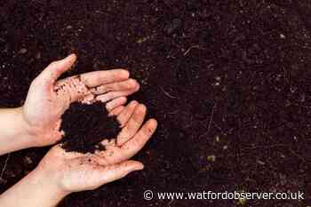 Watford green initiative free compost and wildflower seeds