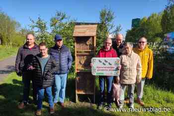 Week van de Bij: “Nieuw soort bij gevonden op begraafplaats”