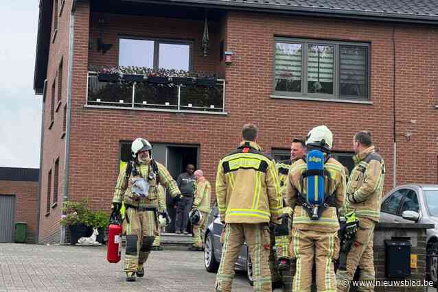 Oververhitte pan zet flat onder rook in Vliermaalroot