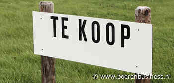 Succesje Adema met rouwrandje veehouderij