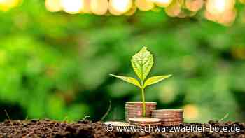 Volles Ökokonto: Neubulach legt Verkaufspreis fest