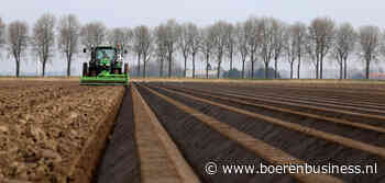 Prijsextremen op markt peen worden groter