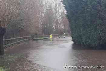 Stad en Fluvius zoeken uitweg voor overtollig water in Oude Iepersestraat