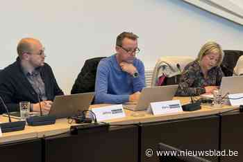 GEMEENTERAAD. Lummen wordt autismevriendelijk: “Een inclusieve samenleving verhoogt de levensvreugde”