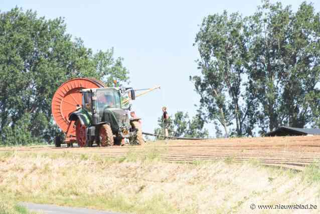 Geen aankoop van landbouwgronden en kritische houding tegenover vergunningsaanvragen: Pepingen toont zich solidair met landbouwers