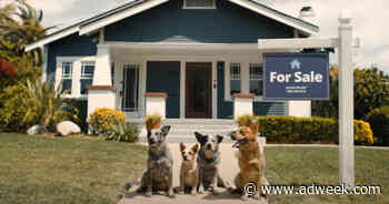 Zillow Offers Some Reassurances About Moving After Emotional Bluey Episode