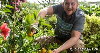 Sask. man grows produce due to worries about worsening food quality, inflation