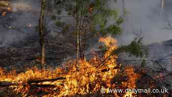 Meteorologists reveal 10 US states are set for higher-than-usual wildfires in 2024 ... is YOUR town at risk?