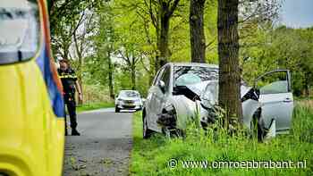 112-nieuws: frontale botsing door overstekende haas • steekpartij Helmond