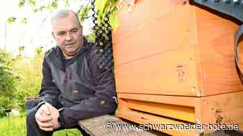 Haiterbacher Hobbyimker: Sein Waldhonig erhält die Goldmedaille