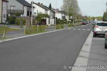Thomasboslaan niet langer de lelijkste straat van Maasmechelen dankzij facelift van bijna 3 miljoen euro