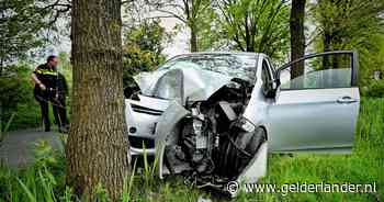 Automobilist wijkt uit voor overstekende haas en klapt tegen boom, kenteken om stam heen gekruld