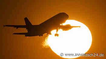 Malle-Ausflug endet vor Abflug in Bayern – Betrunkene pöbeln und urinieren an Baum