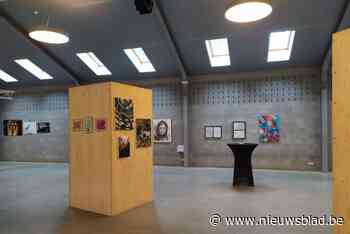 Expo Deluxe brengt niet-professionele kunstenaars uit drie gemeenten samen