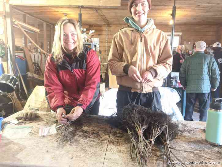 BASC and volunteers sort 8000 trees and shrubs for this Saturday’s pick up 