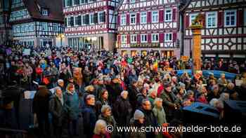 Erklärung im Calwer Rat: Gegen Rechtsextremismus – doch nicht jeder schließt sich an